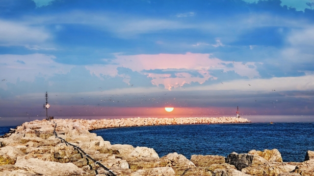 美国实习 ｜ 全球游戏行业领导者IGT招实习生啦!